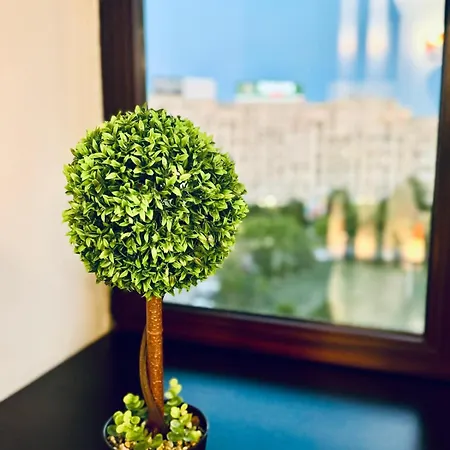 3 Unirii Square Alba Iulia 75 Apartament *